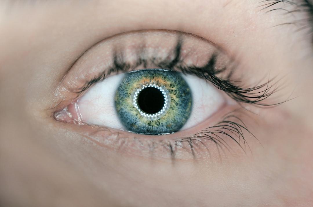 découvrez l'univers fascinant des yeux, organe essentiel de la perception. apprenez tout sur leur anatomie, leur fonctionnement et l'importance de la santé oculaire pour une vision optimale.
