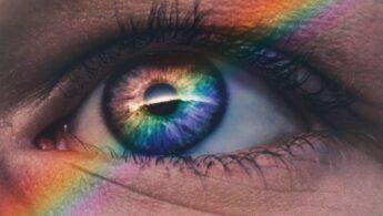 découvrez tout sur les yeux : leur anatomie, leur fonction, ainsi que des conseils pour en prendre soin et améliorer votre santé oculaire. explorez la beauté et la complexité de cet organe essentiel à notre perception du monde.