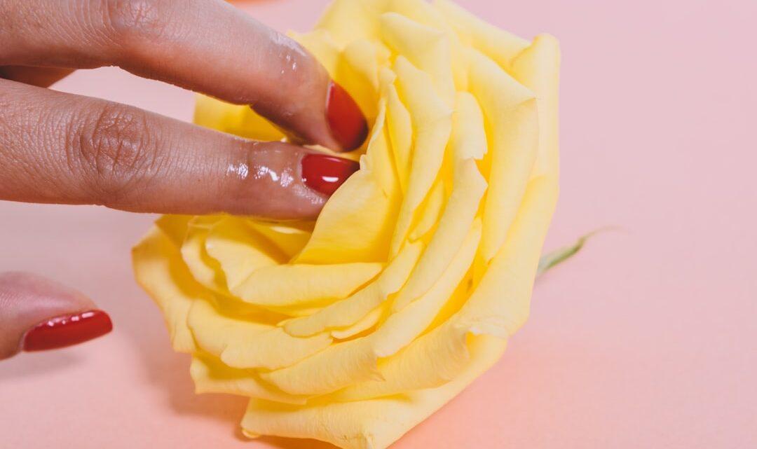découvrez tout ce qu'il faut savoir sur la masturbation : ses bienfaits, ses mythes, et des conseils pour une approche saine. informez-vous sur cette pratique courante et naturel qui fait partie de la vie intime.