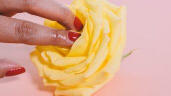 découvrez tout ce qu'il faut savoir sur la masturbation : ses bienfaits, ses mythes, et des conseils pour une approche saine. informez-vous sur cette pratique courante et naturel qui fait partie de la vie intime.