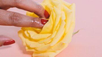 découvrez tout ce qu'il faut savoir sur la masturbation : ses bienfaits, ses mythes, et des conseils pour une approche saine. informez-vous sur cette pratique courante et naturel qui fait partie de la vie intime.