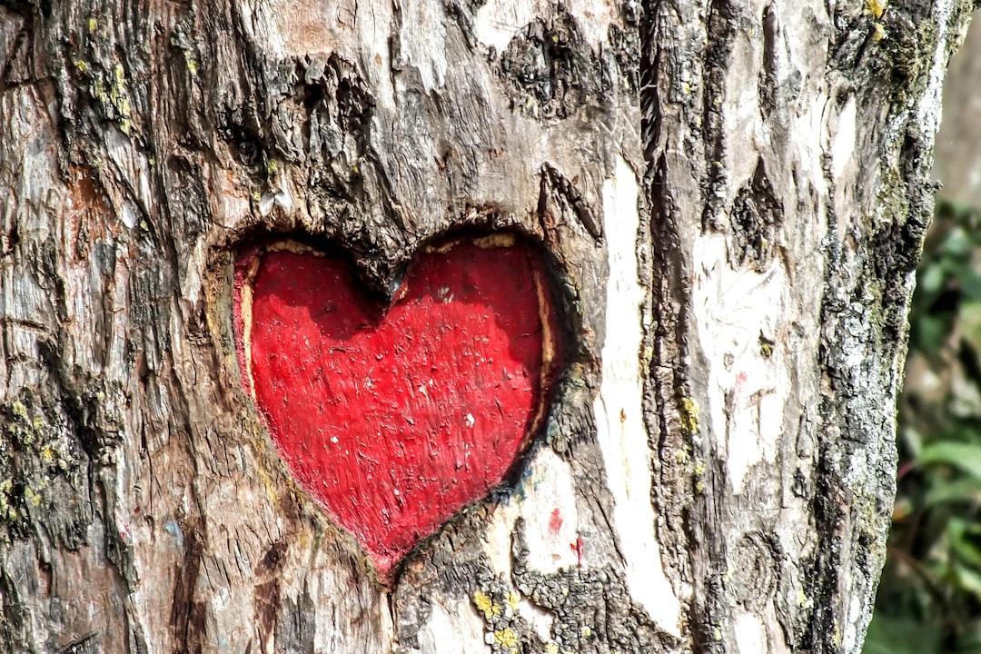 découvrez la passion sous toutes ses formes : des histoires inspirantes, des conseils pour cultiver vos intérêts et des idées pour transformer votre passion en une vocation enrichissante. plongez dans un univers où chaque passion prend vie et s'épanouit.