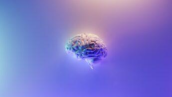 découvrez les multiples facettes de l'intelligence, de ses formes humaines et artificielles à son impact sur nos vies, en passant par ses enjeux éthiques et sociaux. plongez dans un univers captivant où la pensée et la créativité se rencontrent.