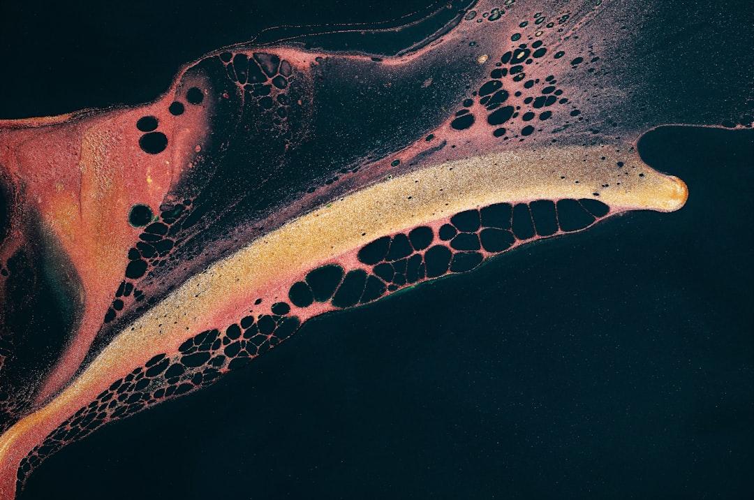 découvrez la signification de la nyctophilia, ce mystérieux attrait pour la nuit et l’obscurité. explorez ses origines, ses implications psychologiques et ses influences dans la culture contemporaine.