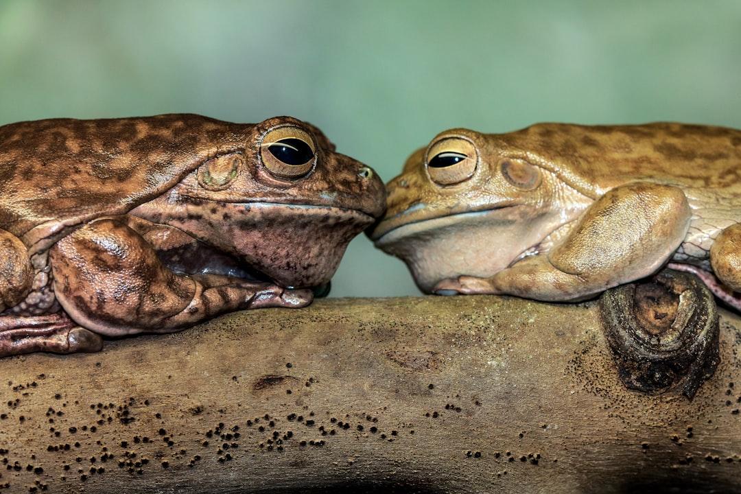 découvrez les dynamiques relationnelles : comprenez comment les interactions, la communication et les comportements influencent vos relations amoureuses, amicales ou familiales pour améliorer votre épanouissement personnel et relationnel.