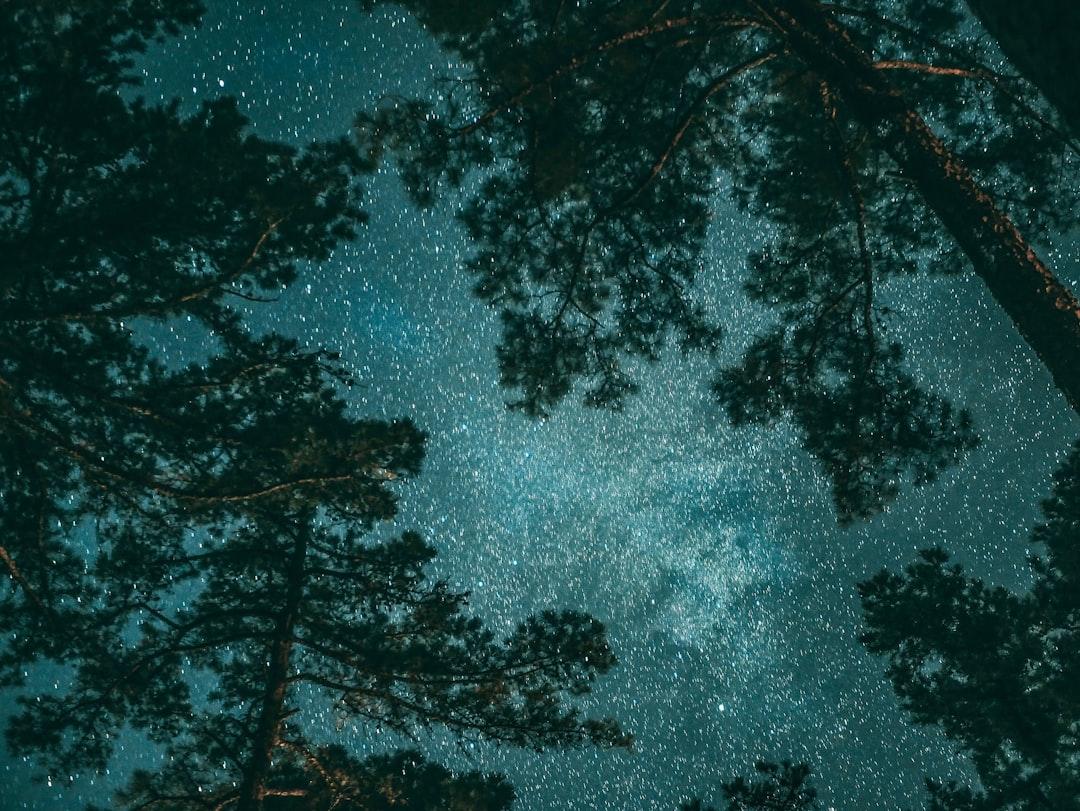 découvrez le cosmos, cet univers fascinant composé de galaxies, d'étoiles et de mystères infinis. explorez son origine, ses merveilles et les dernières découvertes scientifiques.