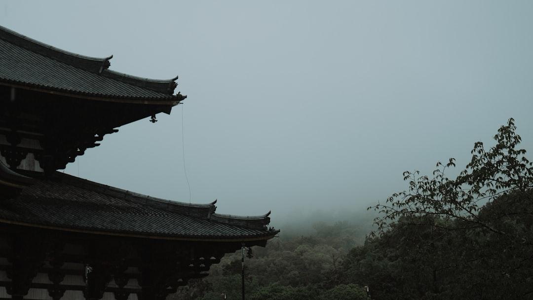 découvrez l’univers fascinant des samouraïs, guerriers légendaires du japon féodal, et explorez leur histoire, leurs codes d’honneur et leur influence sur la culture japonaise.