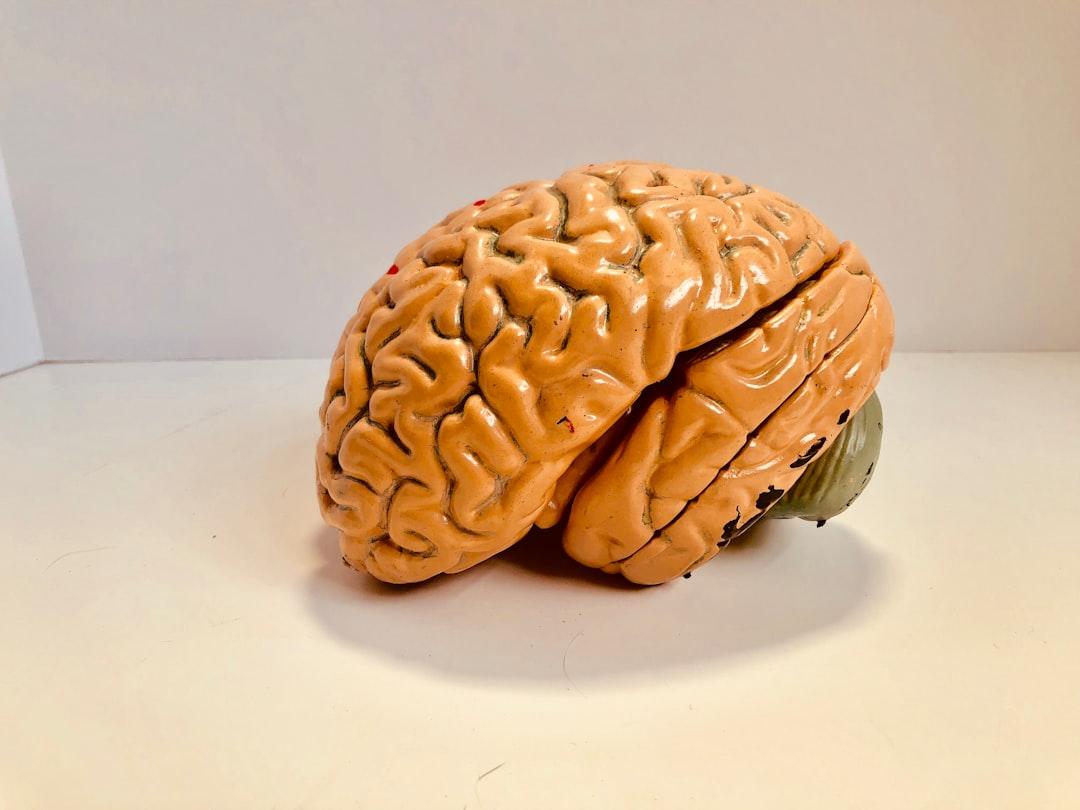 découvrez tout sur l'évaluation psychologique : méthodes, objectifs, déroulement et importance pour comprendre le fonctionnement mental et émotionnel d'une personne.