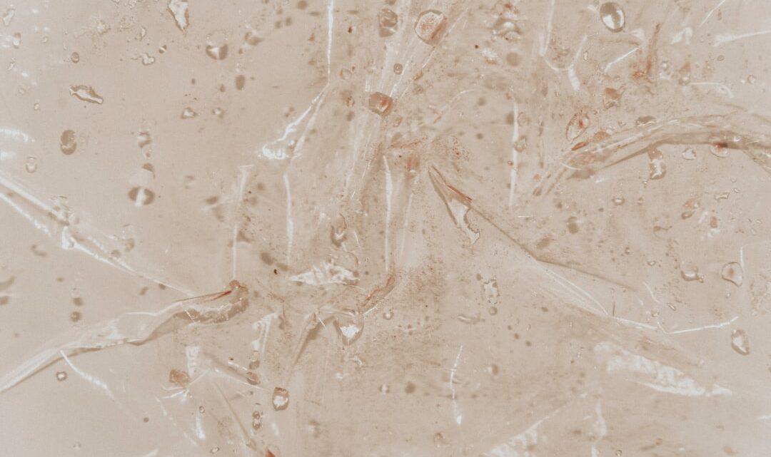 découvrez l'adelphopoïesis, un rite ancien symbolisant l'union spirituelle et fraternelle entre deux personnes dans la tradition chrétienne.