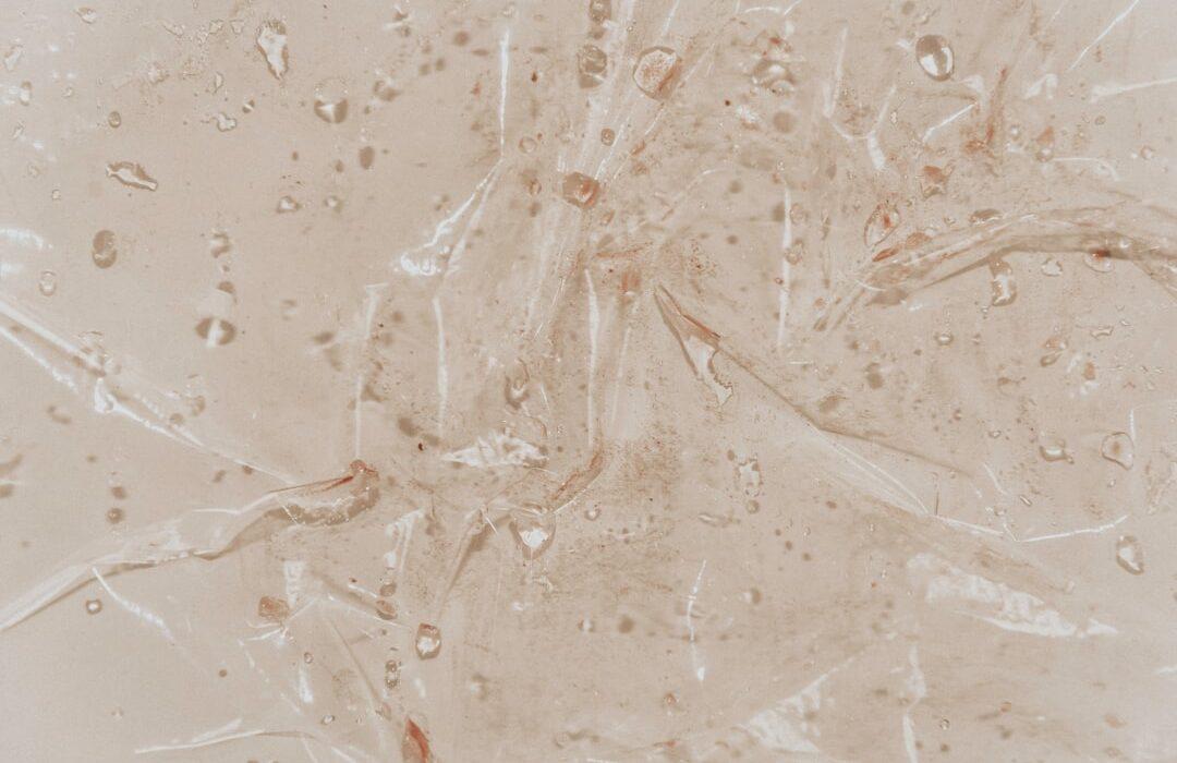 découvrez l'adelphopoïesis, un rite ancien symbolisant l'union spirituelle et fraternelle entre deux personnes dans la tradition chrétienne.