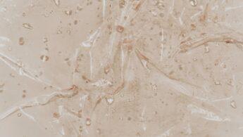 découvrez l'adelphopoïesis, un rite ancien symbolisant l'union spirituelle et fraternelle entre deux personnes dans la tradition chrétienne.