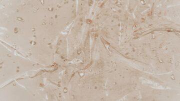 Comment réagir face à l’indifférence d’un être cher ?