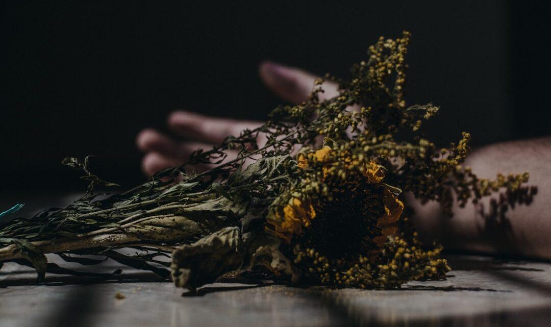 découvrez l'univers macabre, où mystère et atmosphère sombre se mêlent pour captiver les amateurs de frissons et d'histoires intrigantes.