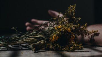 découvrez l'univers macabre, où mystère et atmosphère sombre se mêlent pour captiver les amateurs de frissons et d'histoires intrigantes.