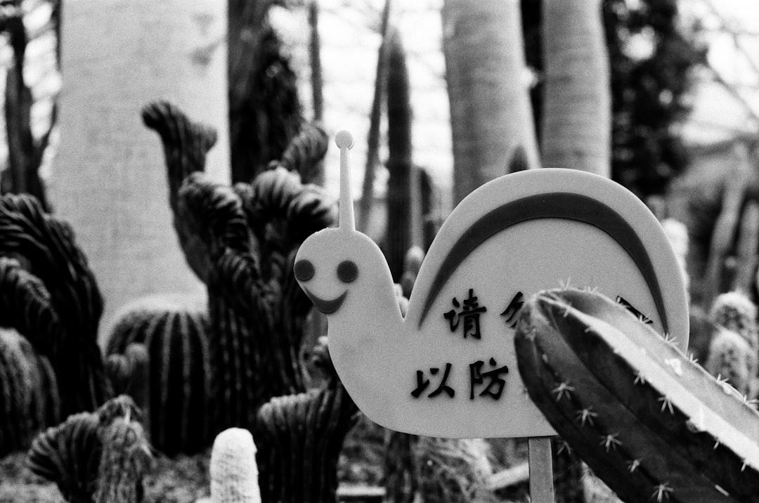 découvrez les principaux signes d'intérêt à surveiller pour mieux comprendre les intentions et les sentiments des autres.