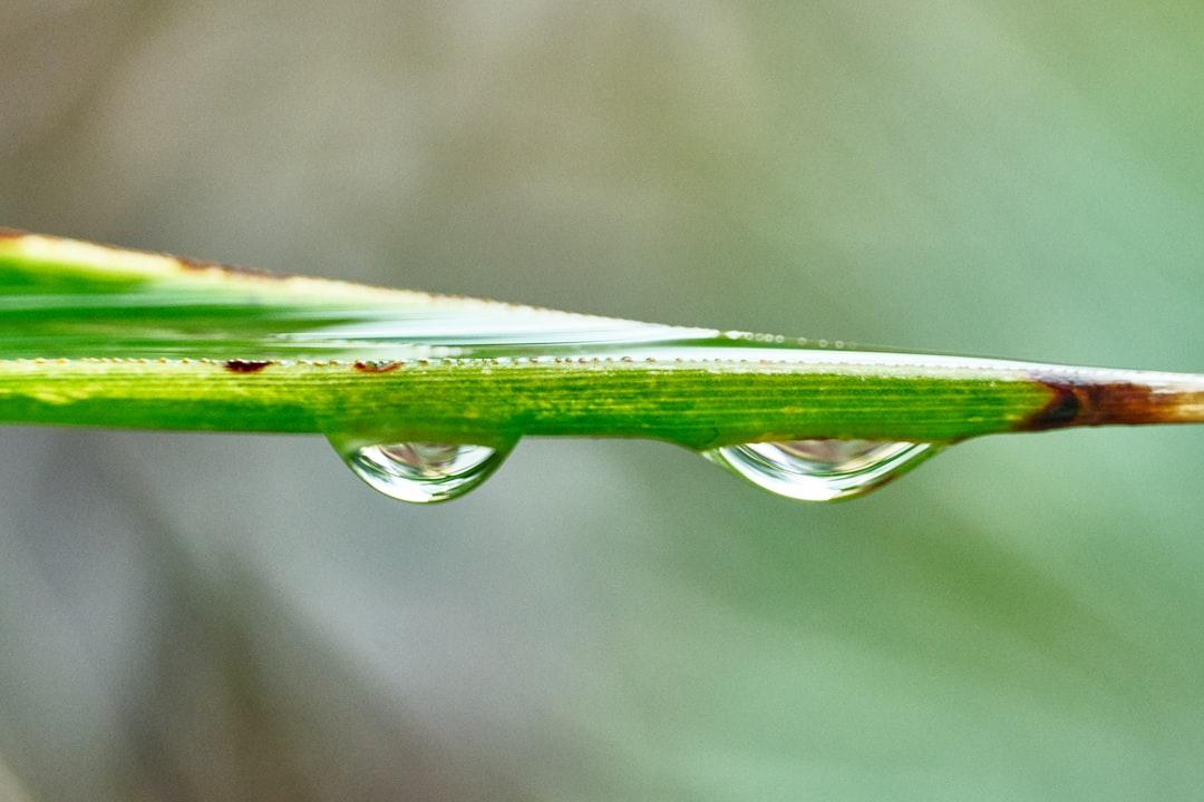 découvrez vital energy, votre source essentielle pour un regain d'énergie naturelle et un bien-être optimal au quotidien.