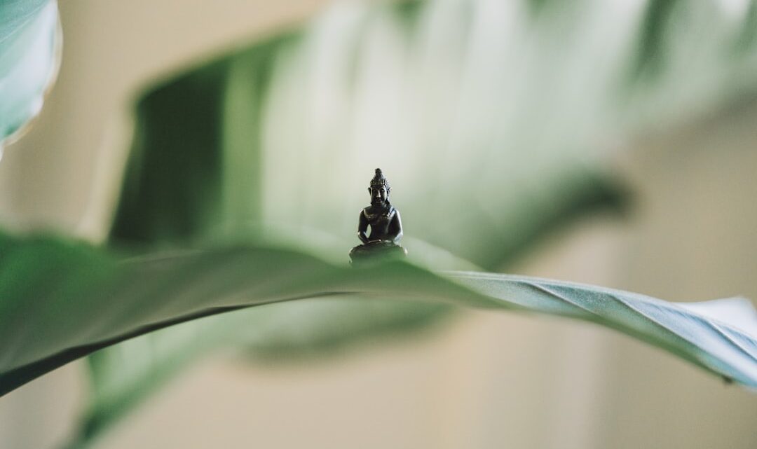 découvrez les mystères de la conscience, son fonctionnement et son impact sur notre perception du monde et de nous-mêmes.