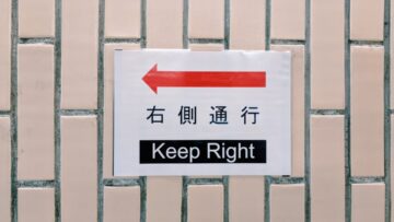 Le noyau lenticulaire : un acteur clé de notre motivation et de l&rsquo;apprentissage