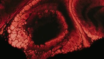 le noyau lenticulaire est une structure du cerveau située dans les ganglions de la base, jouant un rôle clé dans la coordination des mouvements et les fonctions motrices.