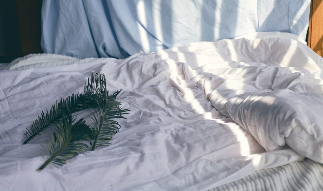 découvrez les bienfaits relaxants des câlins au lit pour apaiser le stress, renforcer les liens affectifs et favoriser un sommeil réparateur.