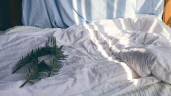 découvrez les bienfaits relaxants des câlins au lit pour apaiser le stress, renforcer les liens affectifs et favoriser un sommeil réparateur.