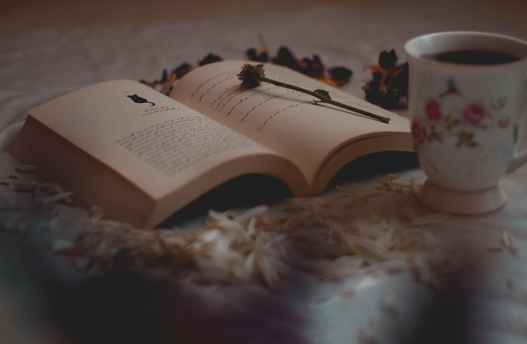 découvrez notre collection captivante de nouvelles courtes, parfaites pour une lecture rapide et enrichissante.