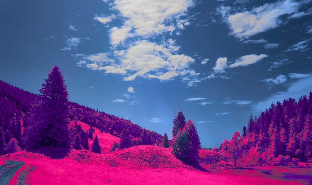 découvrez la signification des rêves grâce à notre guide complet d'interprétation des rêves. comprenez les symboles et messages cachés dans vos rêves pour mieux vous connaître.