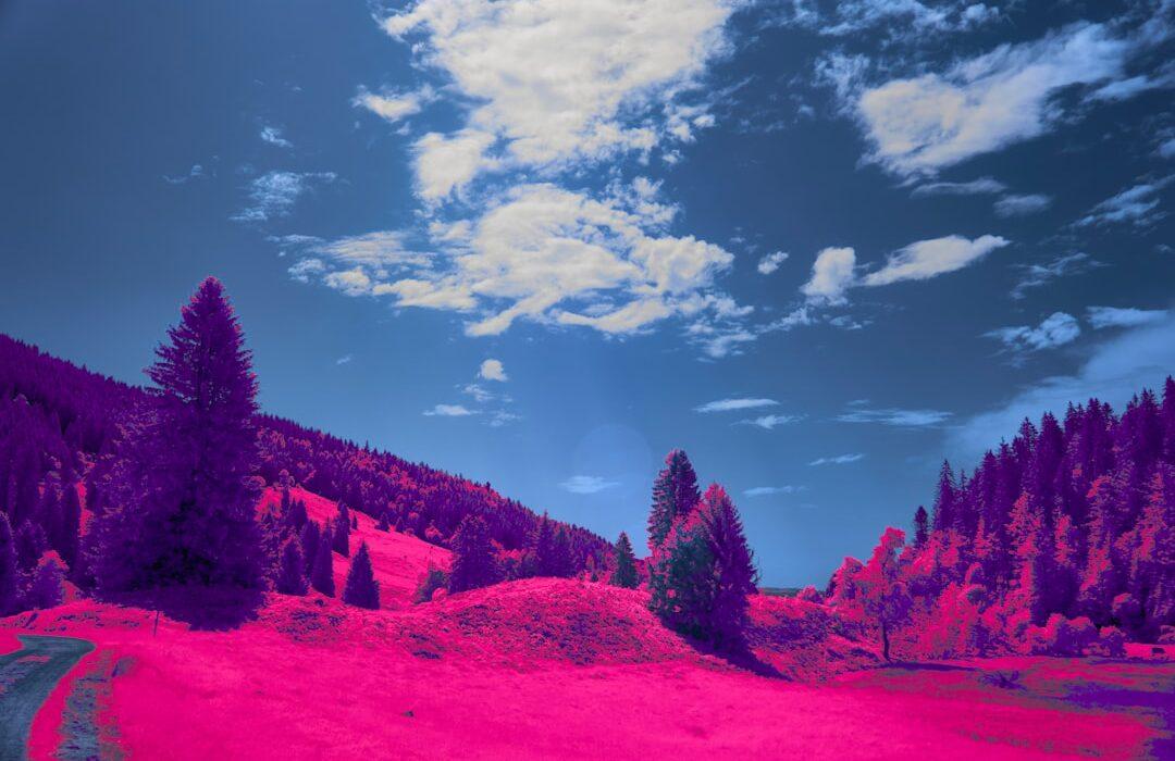 découvrez la signification des rêves grâce à notre guide complet d'interprétation des rêves. comprenez les symboles et messages cachés dans vos rêves pour mieux vous connaître.