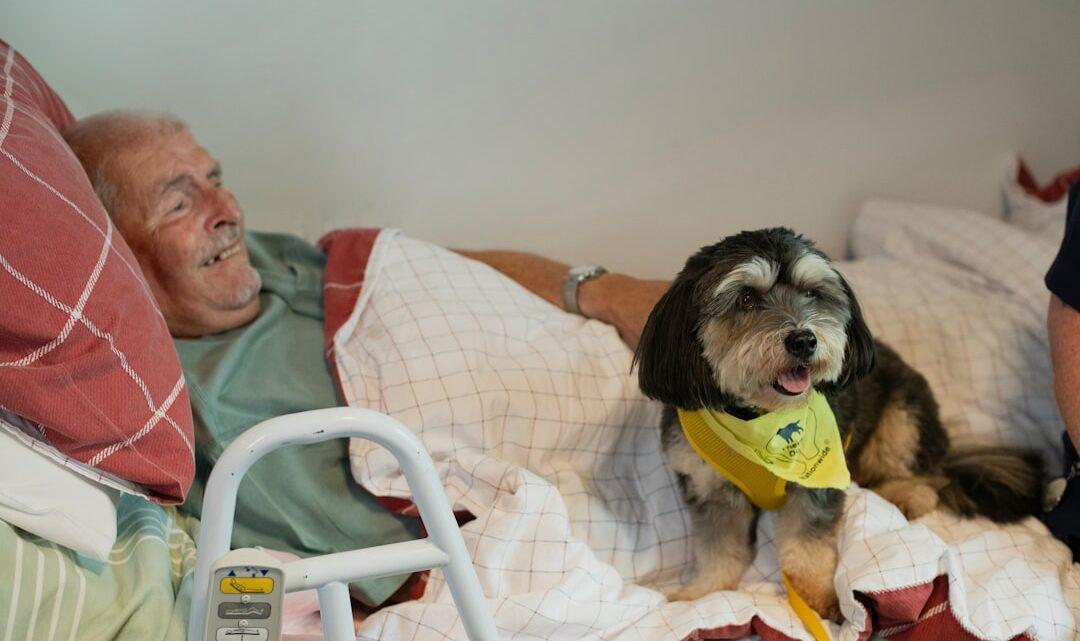 découvrez l'équilibre entre amitié et intimité avec 'friends with benefits', une relation moderne sans engagement mais pleine de complicité.