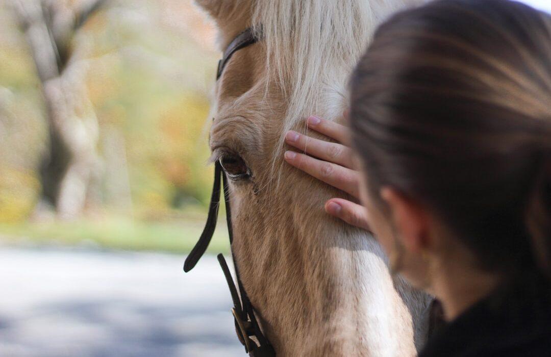 découvrez l'émotion poignante des larmes de nietzsche et l'étreinte symbolique du cheval, une exploration philosophique et poétique unique.