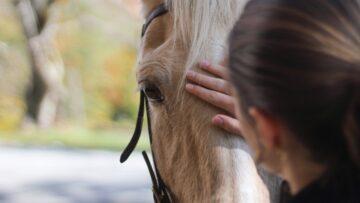 Êtes-vous réellement amoureux d&rsquo;une personne ou simplement sous le charme d&rsquo;une illusion ?