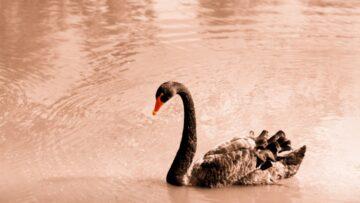 Découvrez la signification cachée des différentes façons de faire un câlin.