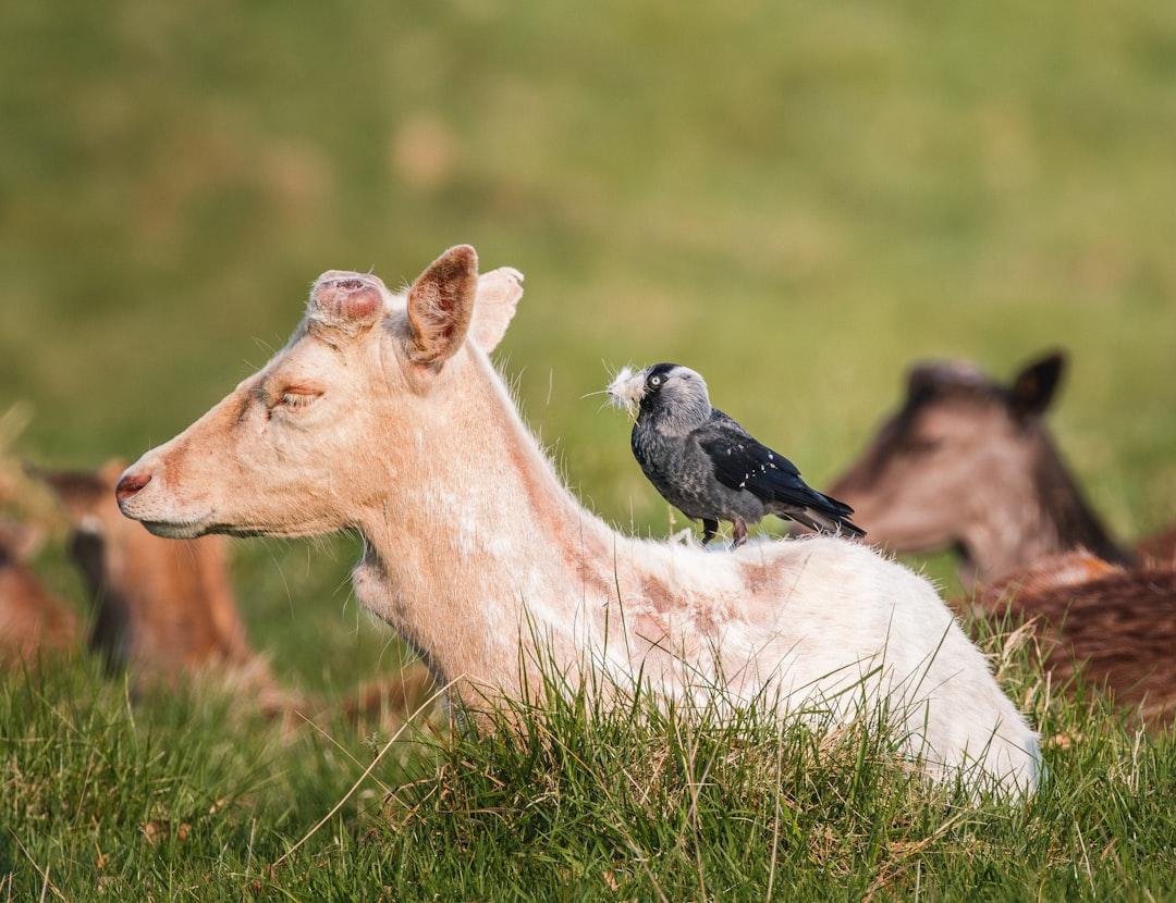 découvrez ce qu'est la codépendance, ses causes, ses signes et comment la surmonter pour retrouver une vie équilibrée et épanouissante.