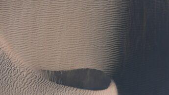 découvrez les mécanismes cérébraux impliqués dans le mensonge, explorant comment le cerveau traite la déception et la vérité.