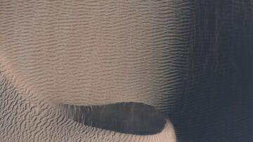 découvrez les mécanismes cérébraux impliqués dans le mensonge, explorant comment le cerveau traite la déception et la vérité.