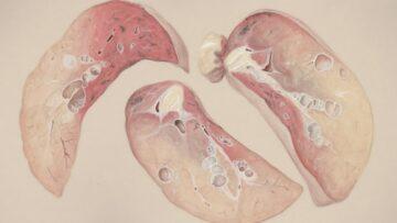 l&rsquo;évolution de la phrase &lsquo;je t&rsquo;aime&rsquo; à travers les différentes étapes d&rsquo;une relation