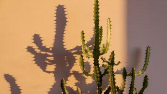 découvrez le concept de perception, son rôle dans la compréhension sensorielle et cognitive du monde qui nous entoure, et son importance en psychologie et neurosciences.