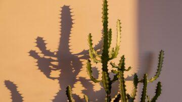 la dimension D et les neuf caractéristiques révélatrices de la malveillance