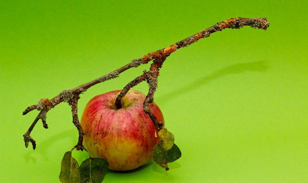 découvrez la théorie de la pomme pourrie, qui explique comment le comportement négatif d'un individu peut influencer et corrompre un groupe entier.