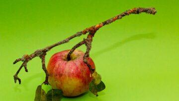 Les individus évoluent, mais pas toujours comme vous les percevez