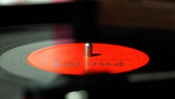 découvrez l'importance du ton de la voix et comment l'ajuster pour améliorer vos communications et transmettre vos émotions avec impact.